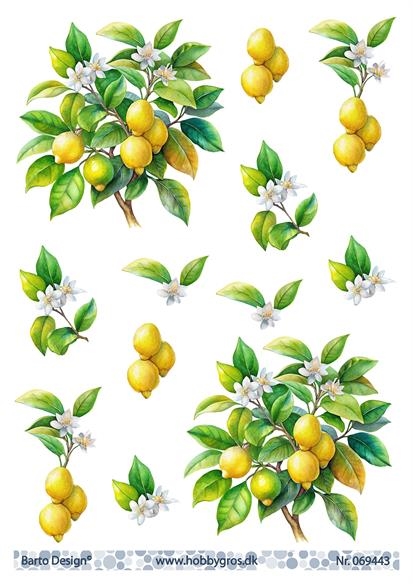 3D Citrontræ med citroner